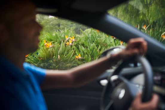 Blurry driver with flowers